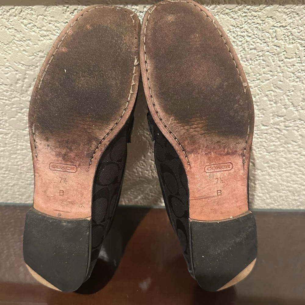 Coach Black Signature Esther Horsebit Loafers - Picture 13 of 16